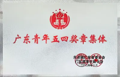 中山眼科中心光明行医疗队获省级集体表彰（原报道配图）